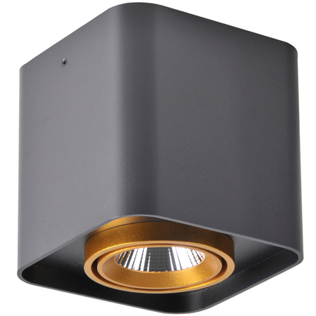 Aufbau-LED-Quadratleuchte XENO 15W 3000K DOWNLIGHT Schwarz - Gold