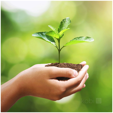 LED-Lampe E27 Ball 9W 806lm 3000K Warm 240° LED2B Kobi