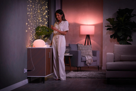 EU Philips Hue Smart Plug Bluetooth Zigbee Steckdose