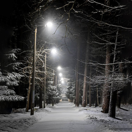 LED-Straßenleuchte New Street 35W 5950lm 4000K KOBI