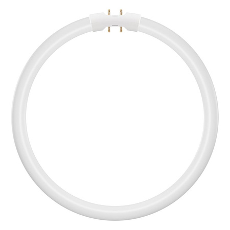 Kreisförmige LED-Leuchtstofflampe 2GX13 T5 11.6W 1550lm 3000K Warm 120° Ledvance