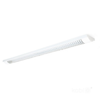 LED-Linearleuchte G13 120cm Grau Zebra Kobi