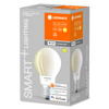 E27 A67 LED Lampen 11W = 100W 2700K Warm 1521lm 300° LEDVANCE SMART+ WIFI Filament Dimmbar