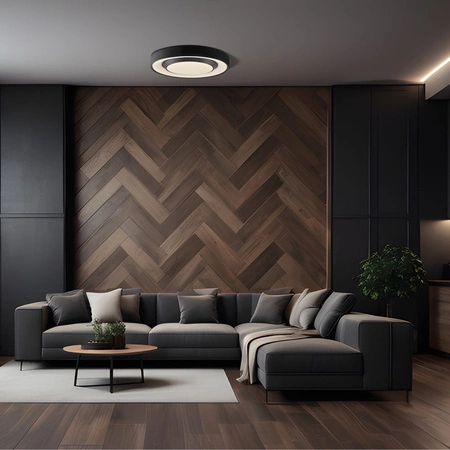 LED Plafond Deckenleuchte 72W 8000lm CCT 120° Weiß Schwarz IP44 Pilot Dimmbar Sigmund Sanico Goldlux