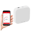 Gateway Centrala GATE ZigBee 3.0 WiFi TUYA Smart