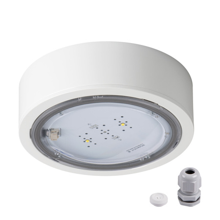 LED-Notfall-Schild-Lampe 6W 524lm 5000K kalt oberflächenmontiert weiß IP65 ITECH Kanlux