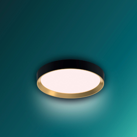 LED Plafond Deckenleuchte 24W 2700lm 2700K SceneSwitch Schwarz Hanno Philips