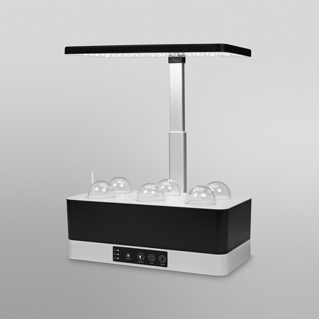 LEDVANCE Innenbeleuchtungslampe 24W 3600K unterstützt das Pflanzenwachstum