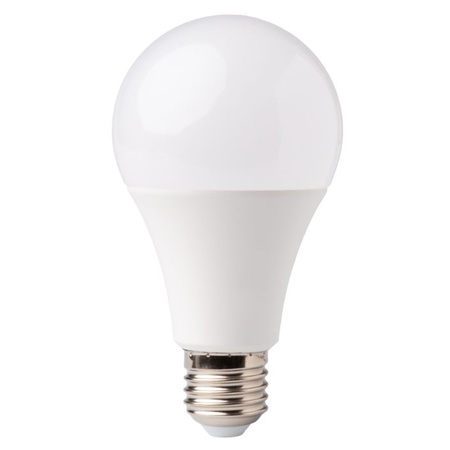 E27 A60 LED Lampen 10 W = 60 W, 900 lm, 6500 K, kalt, Niederspannung, 24 V, ECOLIGHT