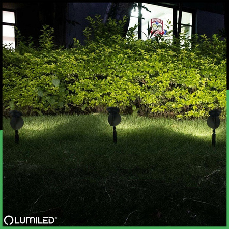 LED Solarbetriebene Gartenlampe Schwarz Gerichtetes OGA Reflektor IP44 6500K LUMILED