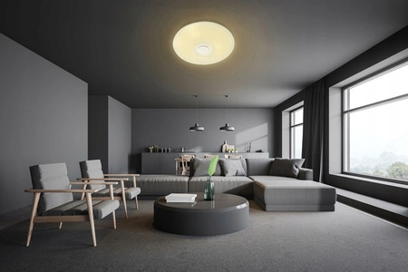 LED PLAIN 50cm runde Deckenleuchte RGBW 3000K-6500K + Fernbedienung BLUETOOTH-LAUTSPRECHER