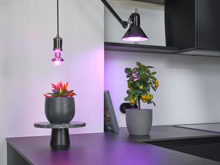 LED Lampen Für Pflanzen 20W E27 650lm Osram Wachstumshilfe Beleuchtung