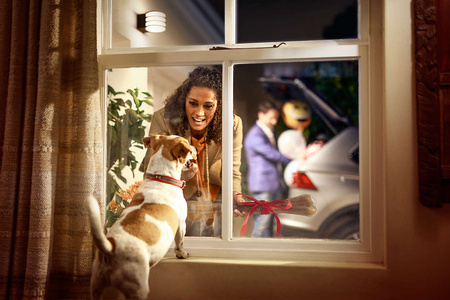 Philips HUE LUCCA Außenwandleuchte E27 9,5W 17401/93/P0