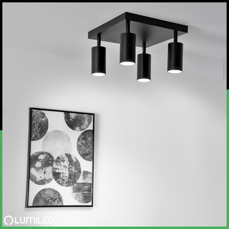 Deckenleuchte Plafond SPOT TUBA Reflektor Halogen Leuchte 4x GU10 TABULA LUMILED