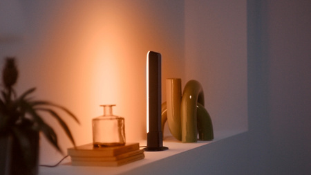 2x LED Gaming Schreibtischlampe RGBIC Gradient 30cm Lichtleiste Smart SMART WiFi Bluetooth Anwendung WiZ