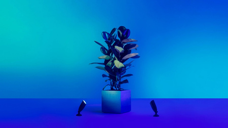 2x LED Garten Außenstrahler 10W RGB SMART WiFi WiZ