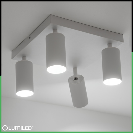 Deckenleuchte Plafond SPOT TUBA Reflektor Halogen Leuchte 4x GU10 TABULA LUMILED