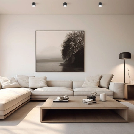 Leuchte Aufbauleuchte SPOT 1x GX53 Schwarz Videx