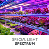LED-Stehleuchte Vitaro 30W Kobi Plant Lamp