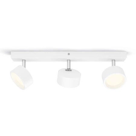 LED-Reflektor-Deckenleuchte 16.5W 1650lm 2700K Weiß Bruder Philips