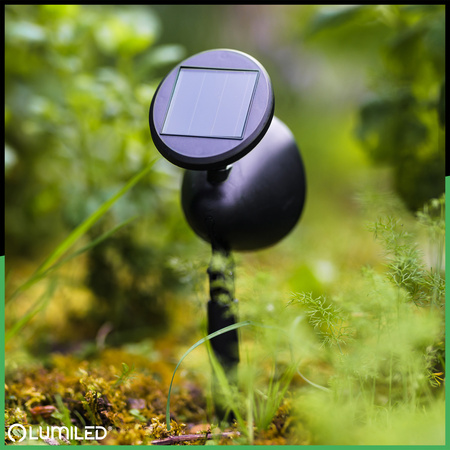 LED Solarbetriebene Gartenlampe Schwarz Gerichtetes OGA Reflektor IP44 6500K LUMILED