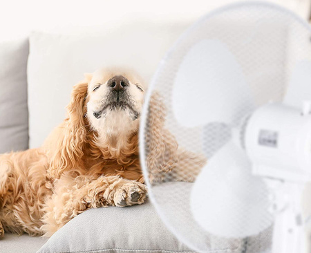 Standventilator Windmühle KOBI 45W 43cm Weiß