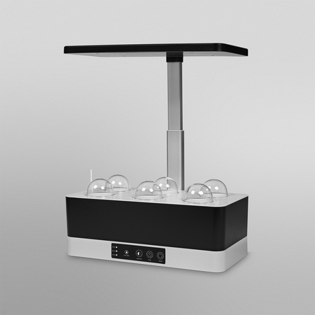 LEDVANCE Innenbeleuchtungslampe 24W 3600K unterstützt das Pflanzenwachstum