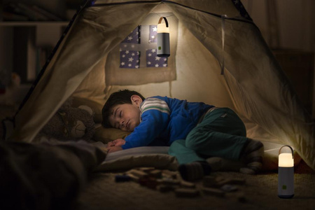 LED-Taschenlampe 0,5 W USB 5 V 3000–4000 K warm-neutral tragbare Powerbank 21 cm NIGHTLUX LATERNE LEDVANCE