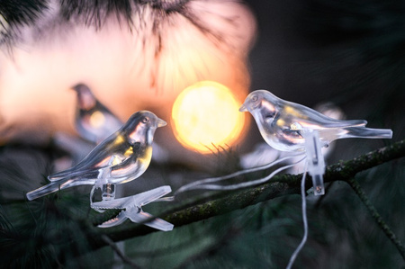 Solar Garten Girlande Lichtkette Vögel auf Clip 3,2m IP44 Warm