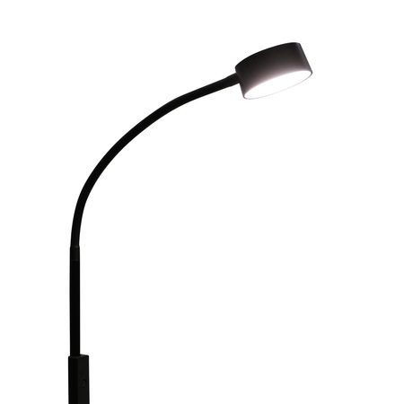 LED Stehleuchte 3W 400lm CCT Schwarz Dimmbar Bruno Sanico Goldlux