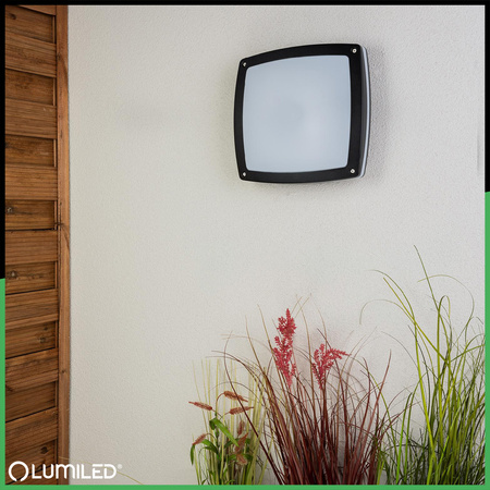 Wandleuchte Außen 2x E27, Deckenleuchte quadratisch LARIS LUMILED