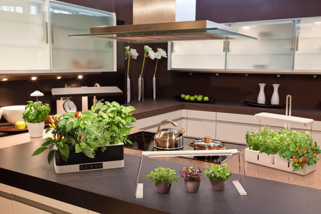 UMBRELLA-Lampe Innenbeleuchtung LED USB 5W 3400K unterstützt das Pflanzenwachstum LEDVANCE