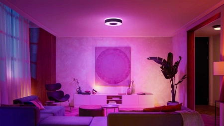 LED-Deckenleuchte INFUSE M Schwarz 33.5W CCT RGB PHILIPS HUE Bluetooth Zigbee