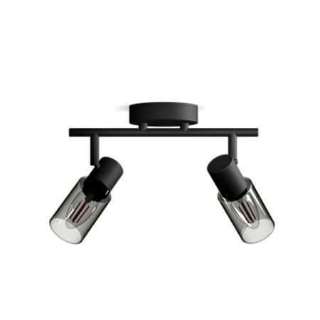 Reflektor-Deckenleuchte 2x E14 Schwarz Palmen Philips