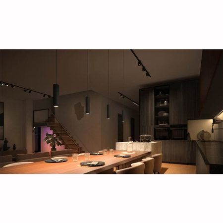 LED Perifo Schwarz 5.2W CCT RGB Philips HUE Bluetooth Deckenhängeleuchte