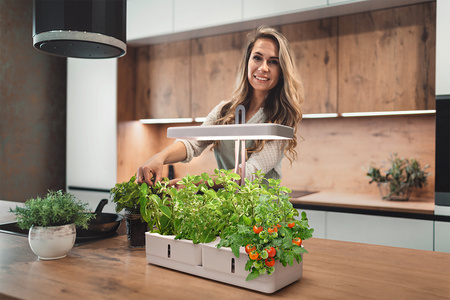 LEDVANCE Innenbeleuchtungslampe 20W 3550K unterstützt das Pflanzenwachstum