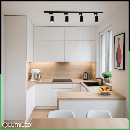 1-Phasen Stromschiene Aluminium, Schiene für Schieneinstrahler 200cm Schwarz LUMILED