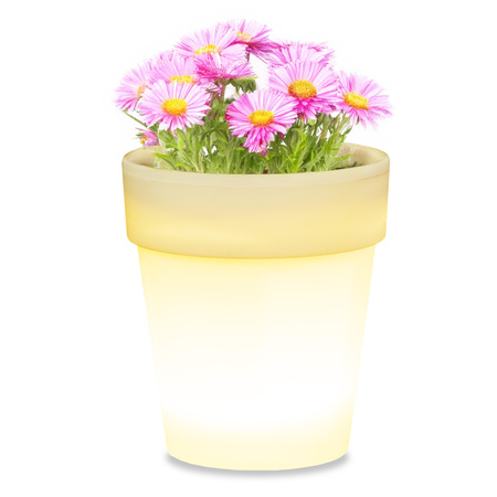 LED Solar Gartenlampe Weiß BLUMENTOPF 4000K neutral GOLDLUX (Polux)