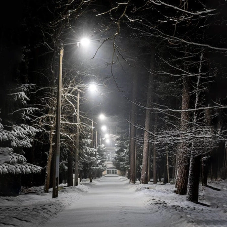 Solar LED Parkplatz Straßenlampe 5W 250lm 6500K IP65 Bewegungssensor + Griff + Fernbedienung