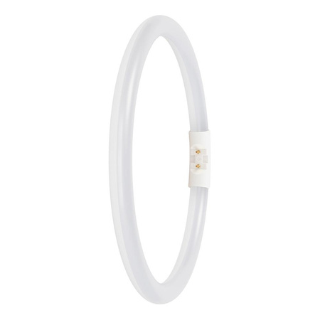 Kreisförmige LED-Leuchtstofflampe 2GX13 T5 11.6W 1550lm 3000K Warm 120° Ledvance