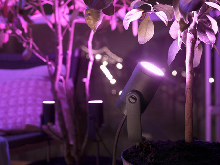 Philips HUE LILY Gartenstrahler 8W 17428/30/P7 8718696169087