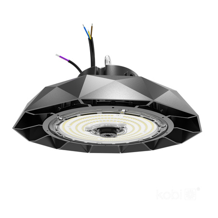 High Bay LED Industrieleuchte 200W 36000lm 4000K Neutral Schwarz IP65 IK09 Anica Pro Kobi