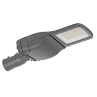 LED-Straßenlampe 25W 4100lm 4000K Neutral 150° IP65 IK08 Grau PRO-S KANLUX