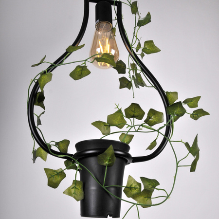 IL MIO SOREN Pendel-Deckenleuchte Schwarz E27 mit Blume GOLDLUX (Polux)