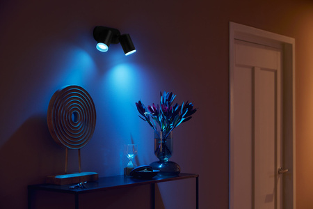 Philips HUE Weiß und Farbe Ambiance Fugato Lampe 2x4.2W Bluetooth Zigbee