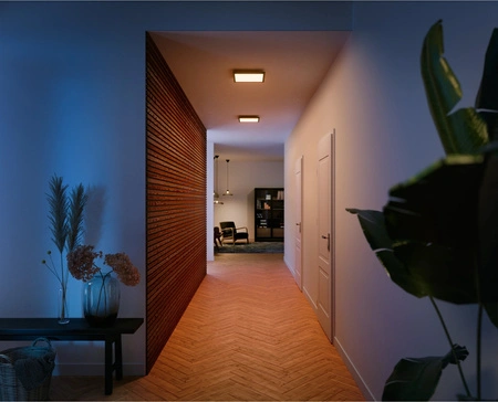 Panel LED Deckenanbauleuchte 30x30 cm 19W 1940lm IP20 Weiß Ambiente TW Schwarz Smart SMART Zigbee Bluetooth Aurelle Philips HUE