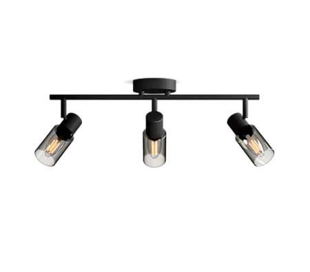 Reflektor-Deckenleuchte 3x E14 Schwarz Palmen Philips