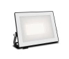 LED-Flutlicht Reflektor 20W 2050lm 3000K IP65 Schwarz Lois Philips