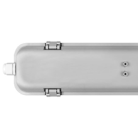 Flammensichere 120cm 2xT8 G13 IP65 Transparente Masterled Leuchte