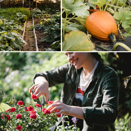 Gartenschlauch 15m Tropfbewässerung DRIP 1/2" CELLFAST